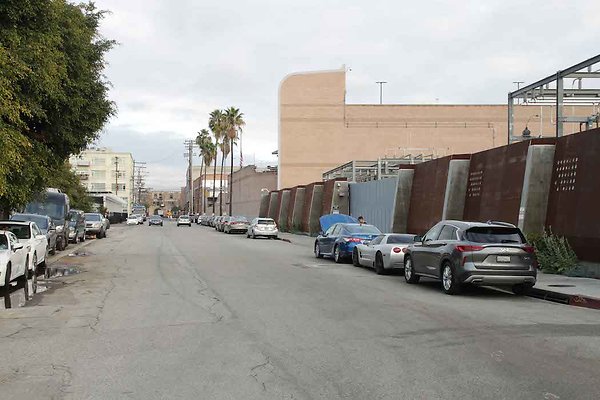 Palmetto &amp; Colyton-127