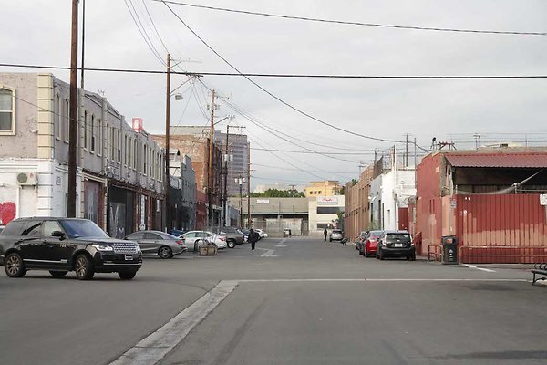 Palmetto &amp; Colyton-148