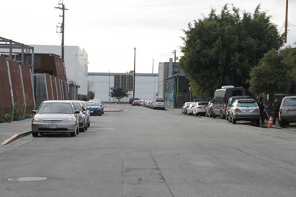 Palmetto &amp; Colyton-110