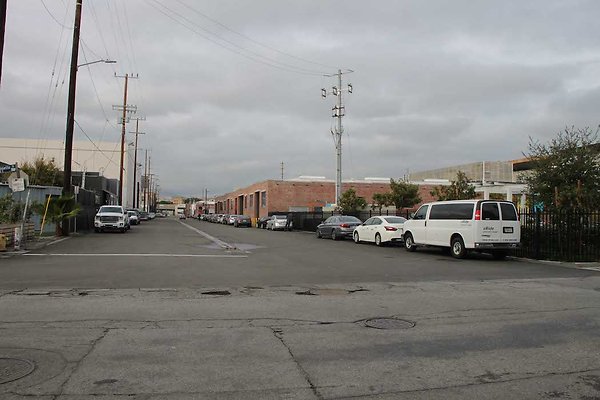 Palmetto &amp; Colyton-103