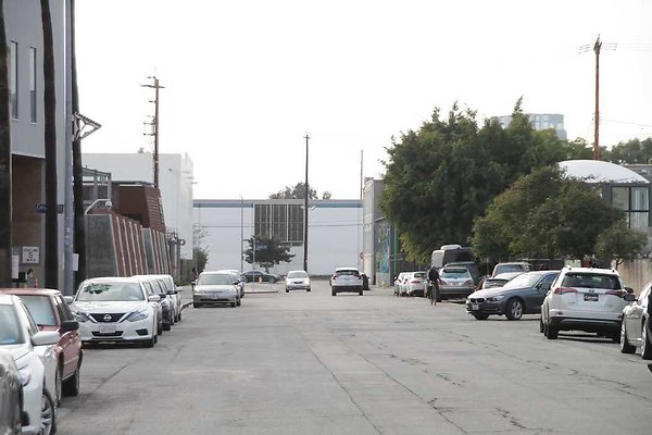 Palmetto &amp; Colyton-137