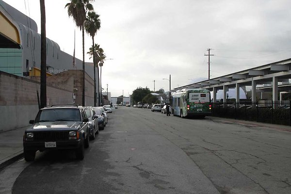Palmetto &amp; Colyton-136
