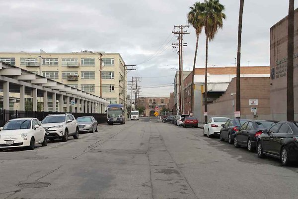Palmetto &amp; Colyton-121