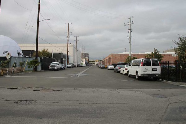 Palmetto &amp; Colyton-102