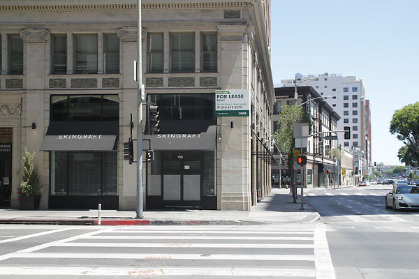 IMG 0051-3