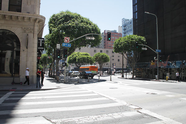 IMG 0067-19