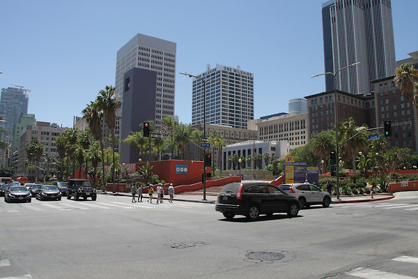 IMG 0294-6