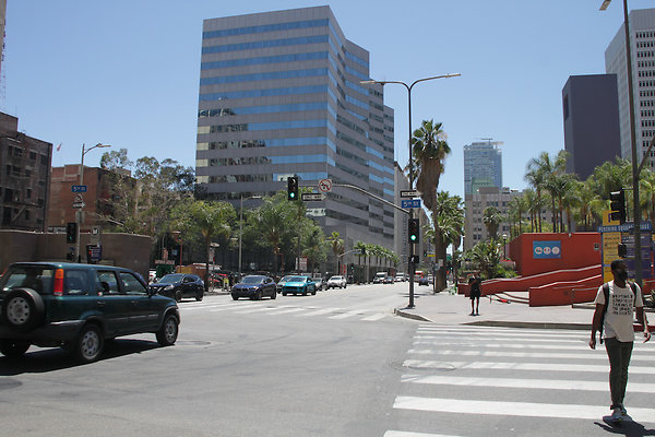 IMG 0310-22