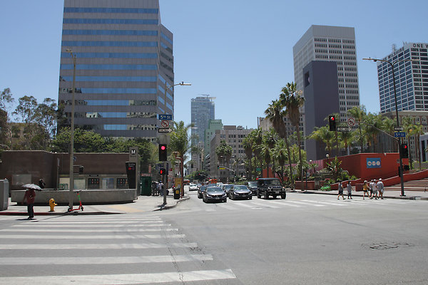 IMG 0295-7