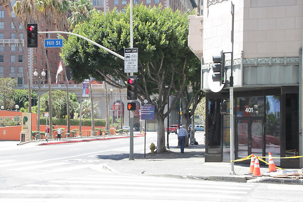 IMG 0299-11