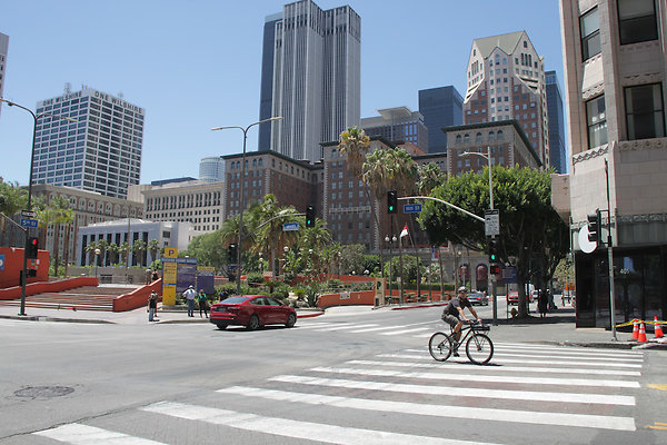 IMG 0293-5