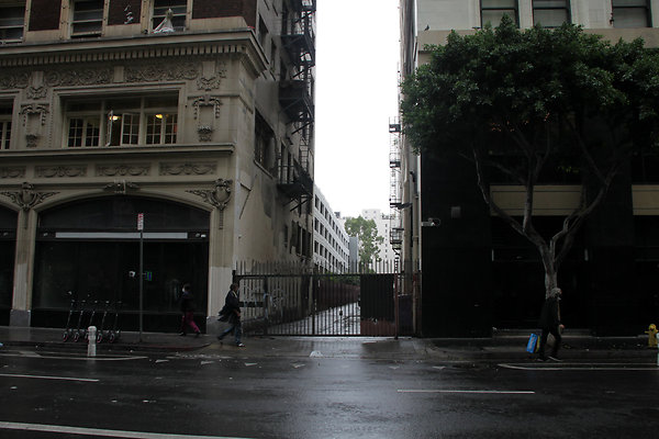 IMG 2549-3