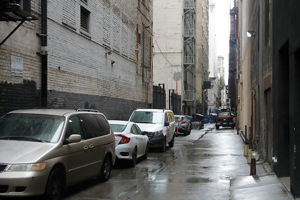 IMG 2719-13